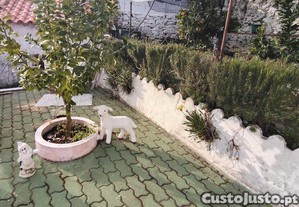 imagem_23
