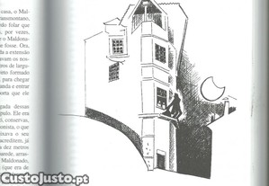 imagem_7