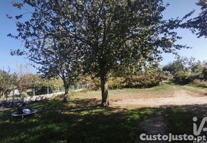 imagem_27