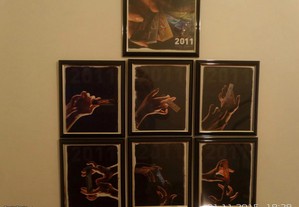colecção de quadros (smoking 2011)