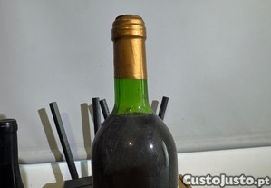 imagem_3