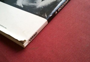 imagem_10
