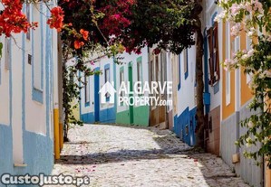 imagem_29