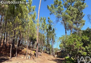 imagem_27
