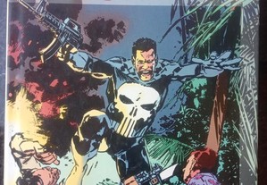 Marvel Graphic Novel - Punisher, Kingdom Gone