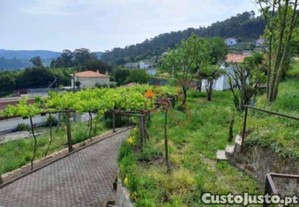 imagem_10