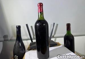 imagem_5