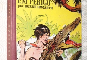 imagem_2
