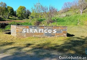 imagem_1
