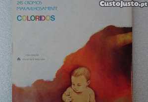 imagem_3