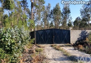 Terreno em Monte Real e Carvide de 140000,00 m²