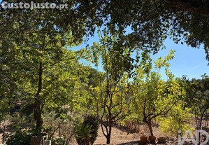 imagem_19