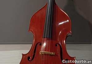 imagem_5