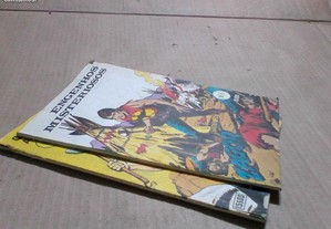 imagem_3