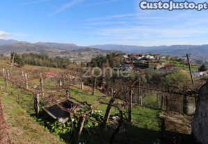 Ruína Em Tabaçô, Arcos De Valdevez