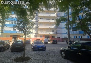 imagem_8