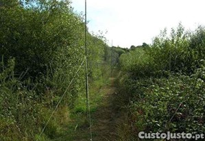 Redes para Prote��o de Cultivos Resistentes ( Fio Multifilamento ) Invis�veis