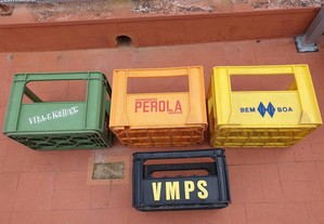 imagem_3