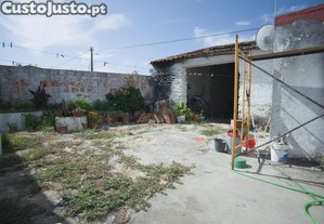 imagem_15