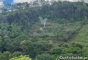 imagem_7