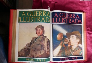 imagem_7