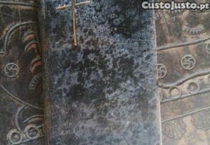imagem_1