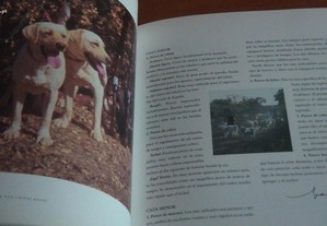 imagem_3