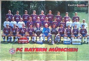 imagem_3