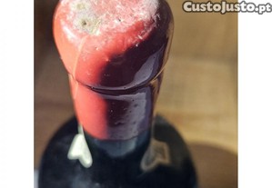 imagem_4