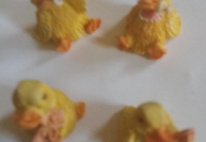 imagem_7