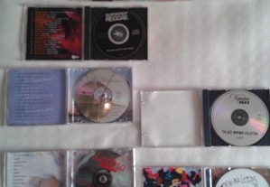 imagem_3