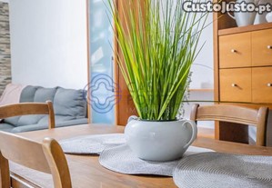 imagem_26