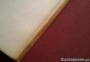 imagem_8