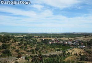 imagem_22
