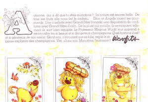 imagem_6