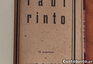 imagem_7