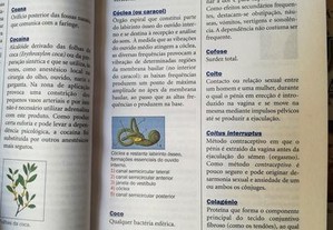 imagem_8