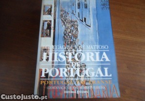 imagem_9