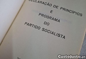 imagem_8