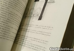 imagem_8