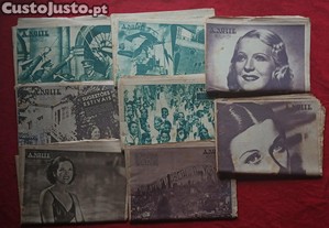 imagem_1