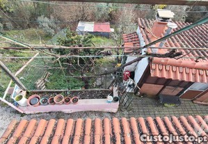 imagem_34