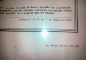 imagem_7