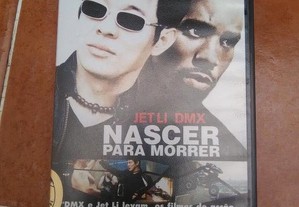 imagem_8
