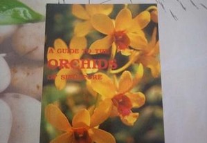 A Guide to the Orchids of Singapore