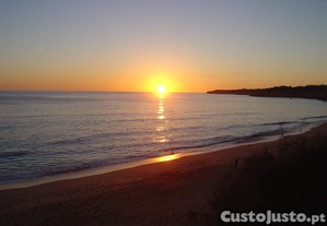 imagem_12