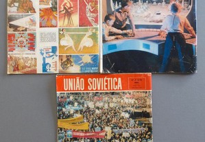 imagem_3
