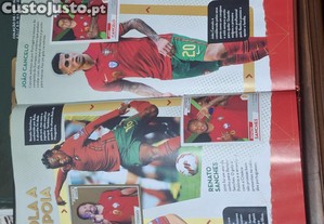 imagem_2