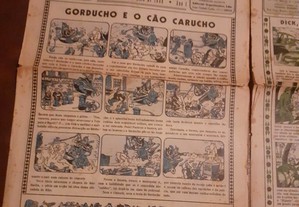 imagem_5