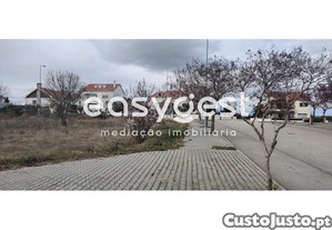 imagem_7